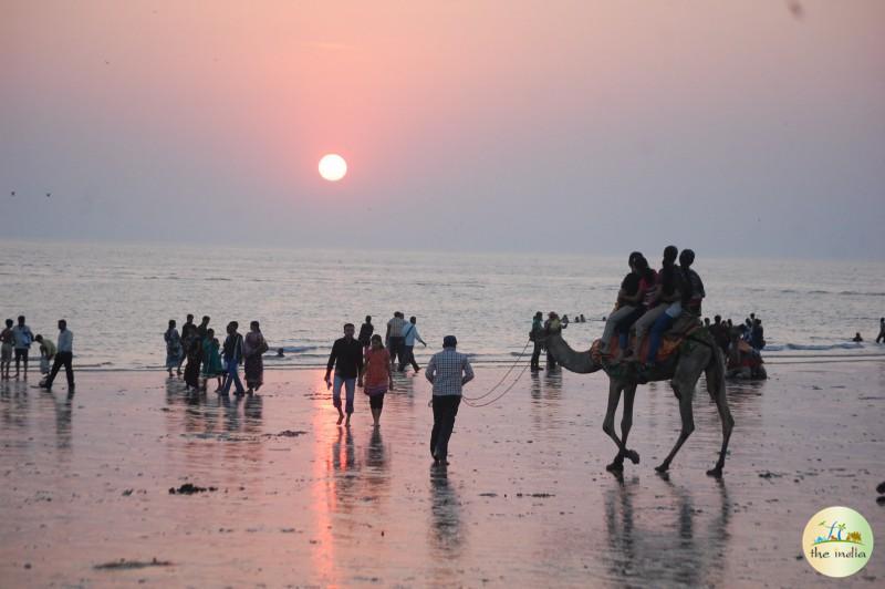 Places to Visit Near Mandvi