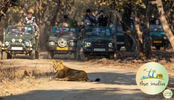 2 Nights 3 Days Sasan Gir Somnath Diu Tour Package From Ahmedabad