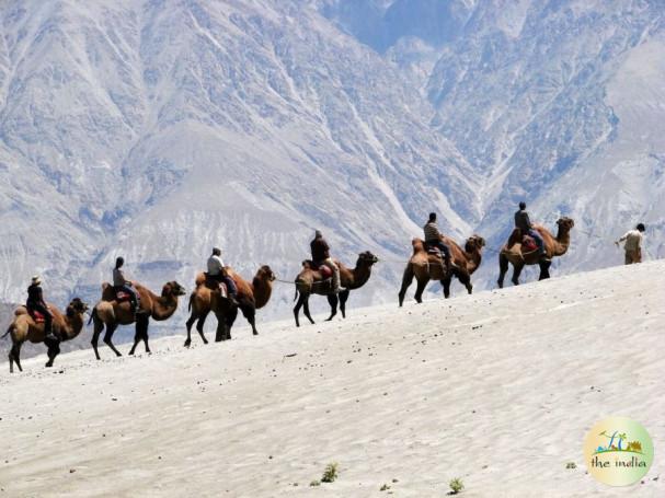 Leh Khardung Tour Package (3 Nights-4 Days)