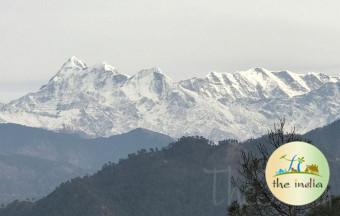 Pindari Glacier Trek of Uttarakhand Tour Package (6 Nights - 7Days)