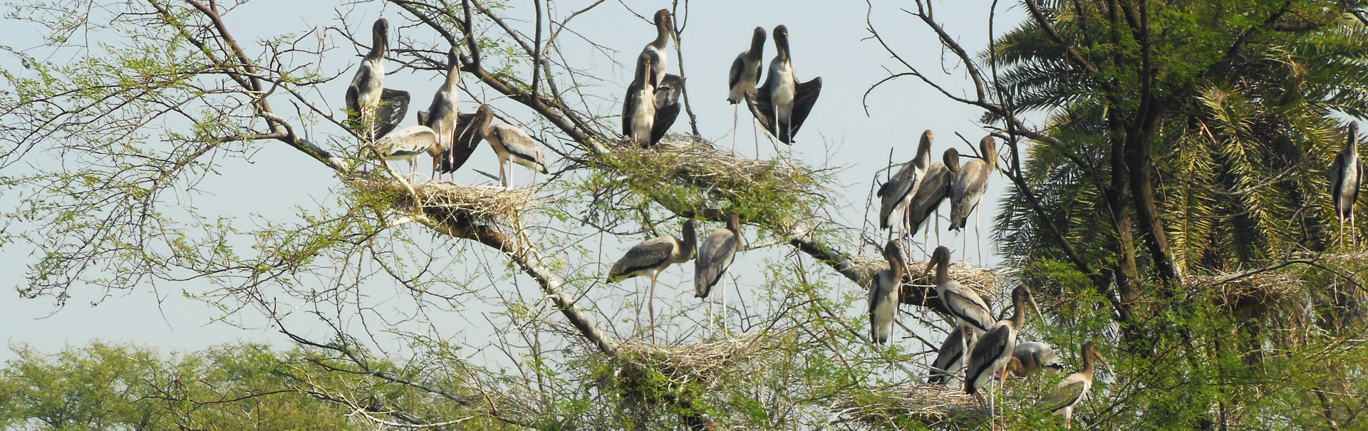 The Forgotten Heritage of Bharatpur, Rajasthan: Part 1