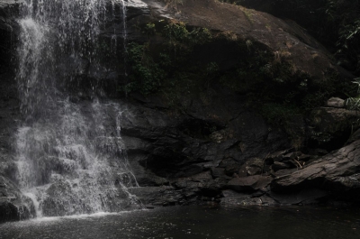 The streams that led us to the breath-taking hill top: From Kattakayam to Illickal Kallu