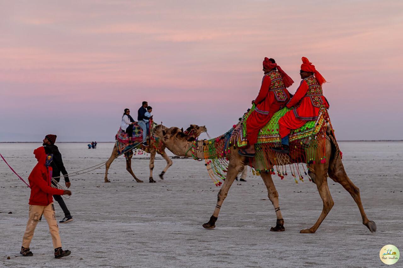 Rann Utsav Camel Ride