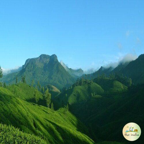 Awesome 3 Nights-4 Days Cochin Munnar Kumarakom Tour Package