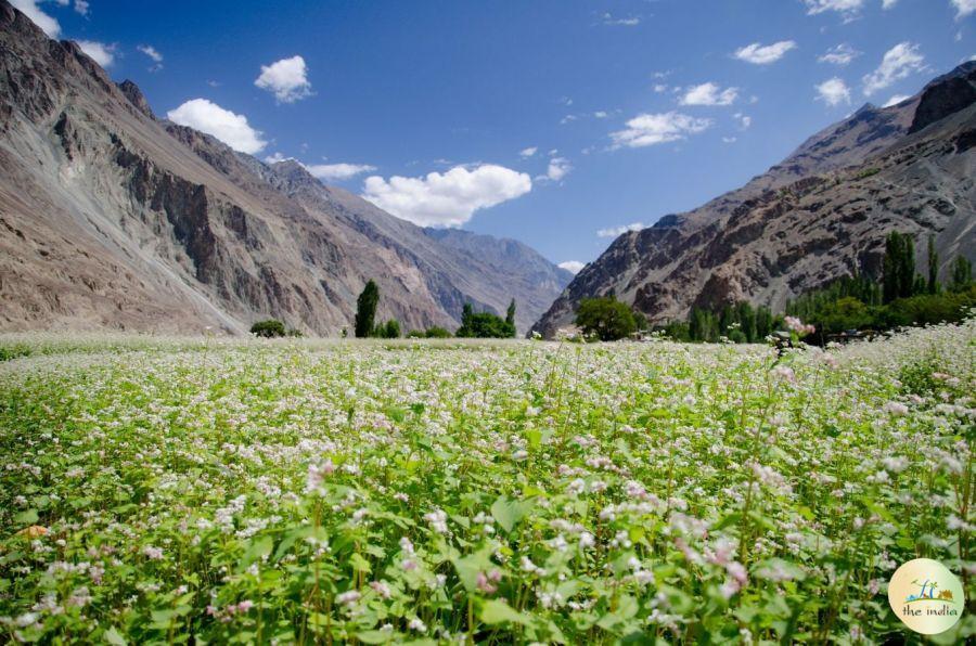Leh Ladakh Tour Packages From New Delhi (7 Nights-8 Days)