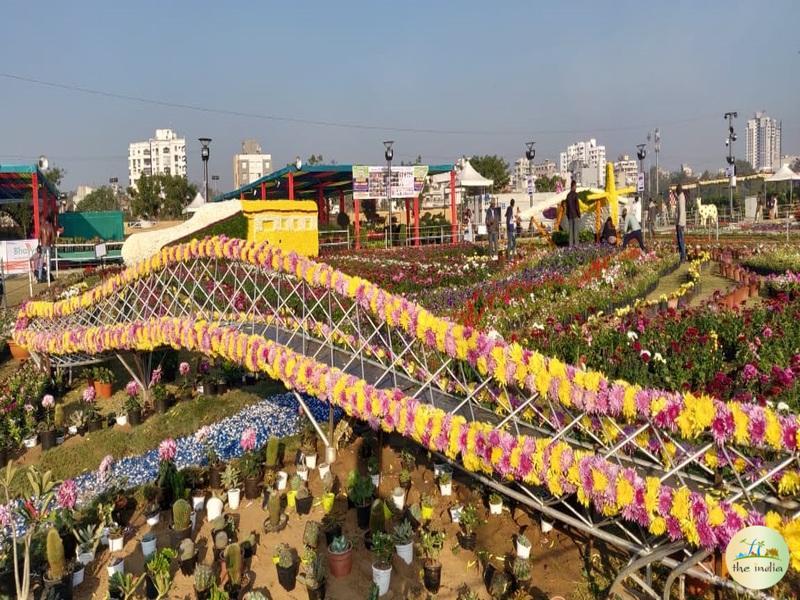 Flower Show Ahmedabad 2024