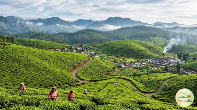 5 Nights 6 Days Kerala Tour Package (Munnar, Thekkady, Alleppey, Kumarkom, Kochi)