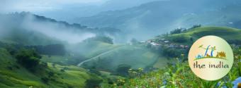 5 Nights - 6 Days Kerala Tour Package (Munnar, Thekkady, Alleppey, Kumarkom, Kochi)