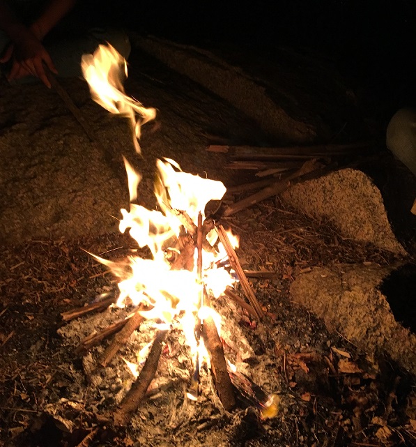 Campfire in forest area