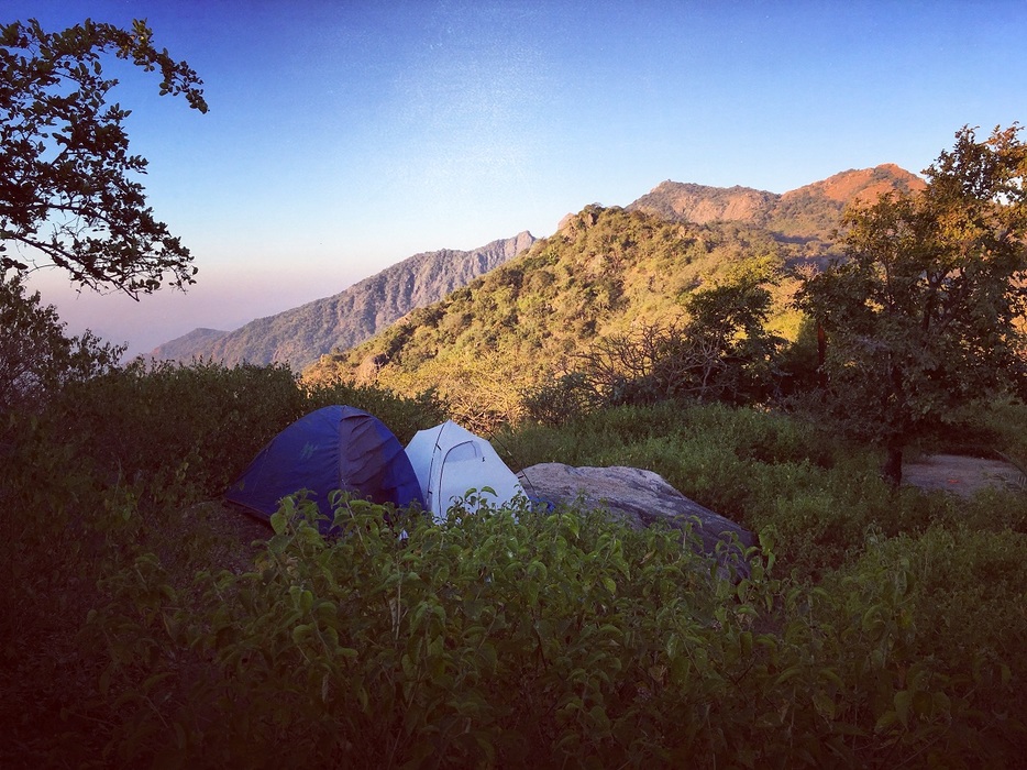 Camping in jungle at mount abu