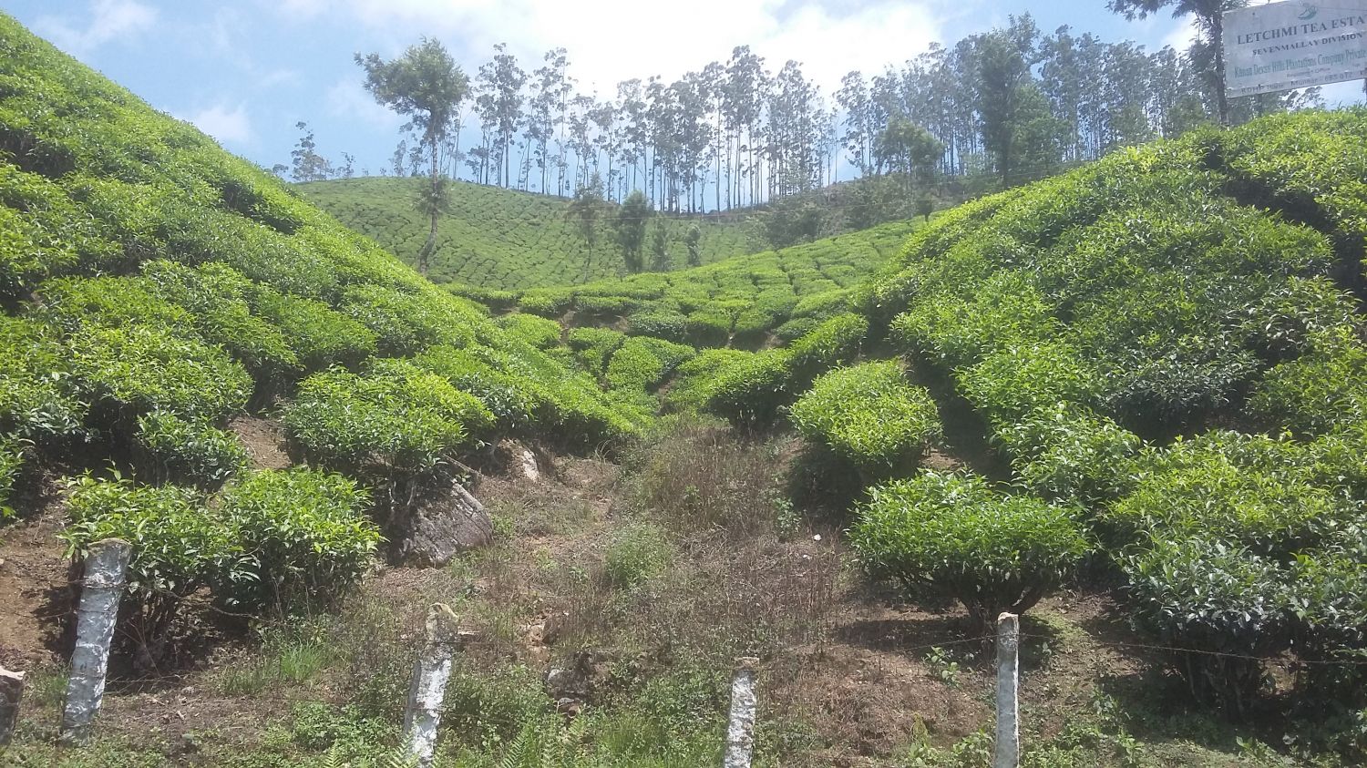 Munnar Hill Station Munnar