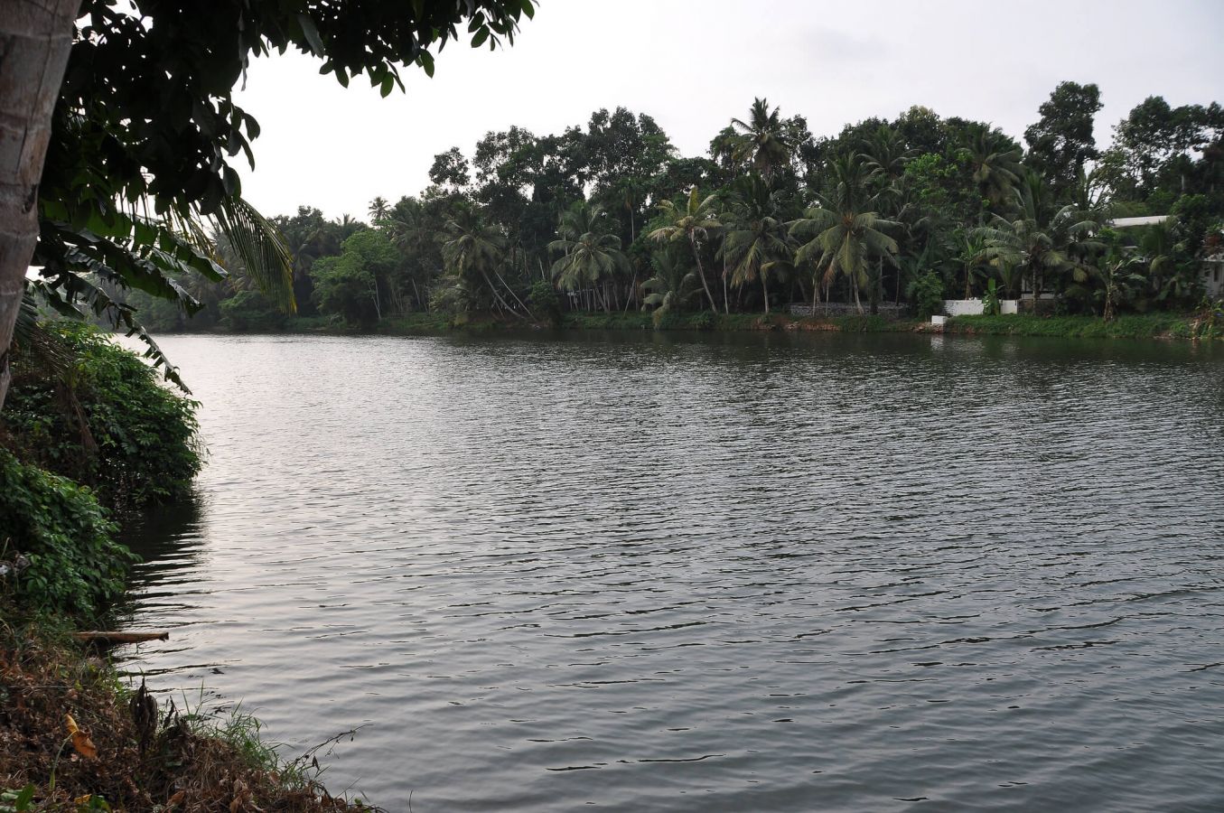 Alleppey Alleppey