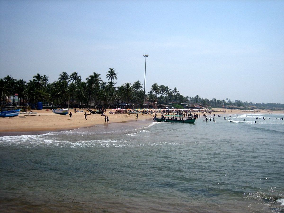 Panji Panjim