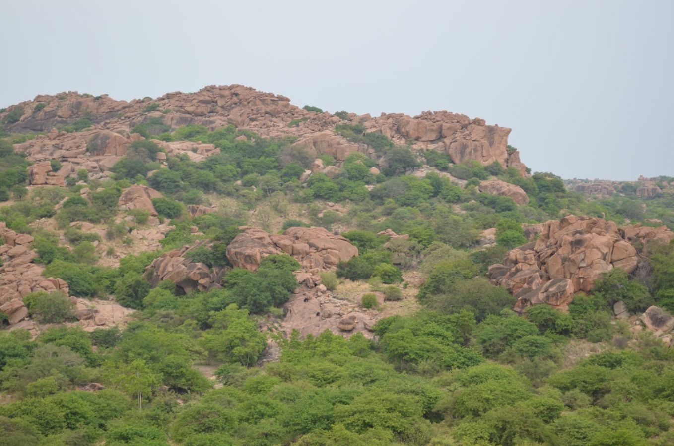 Daroji Sloth Bear Sanctuary Ballari