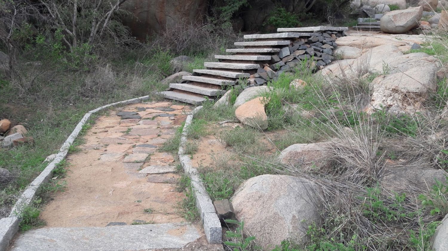 Daroji Sloth Bear Sanctuary Ballari