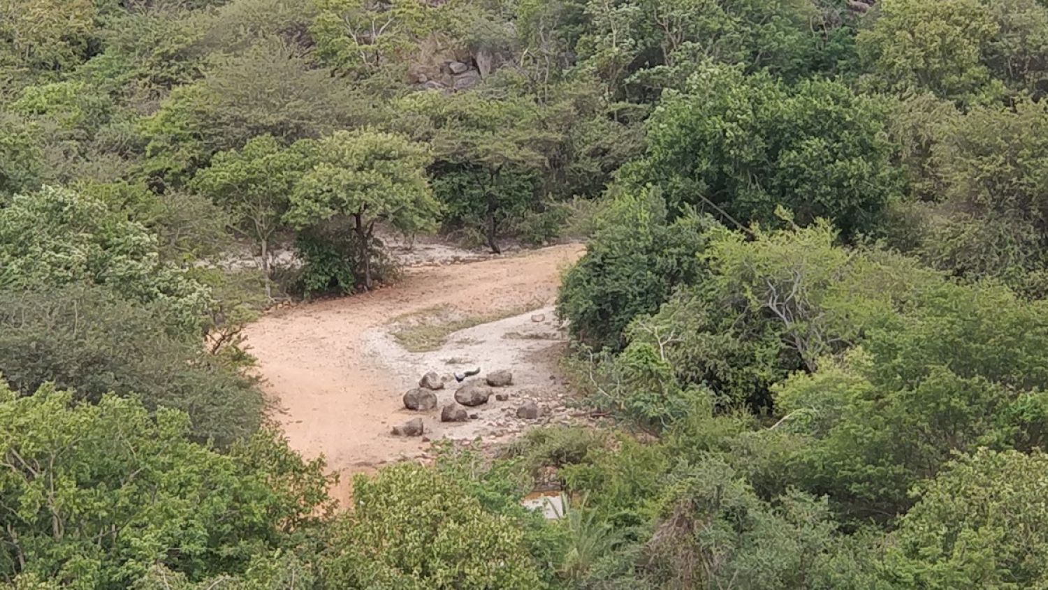 Daroji Sloth Bear Sanctuary Ballari