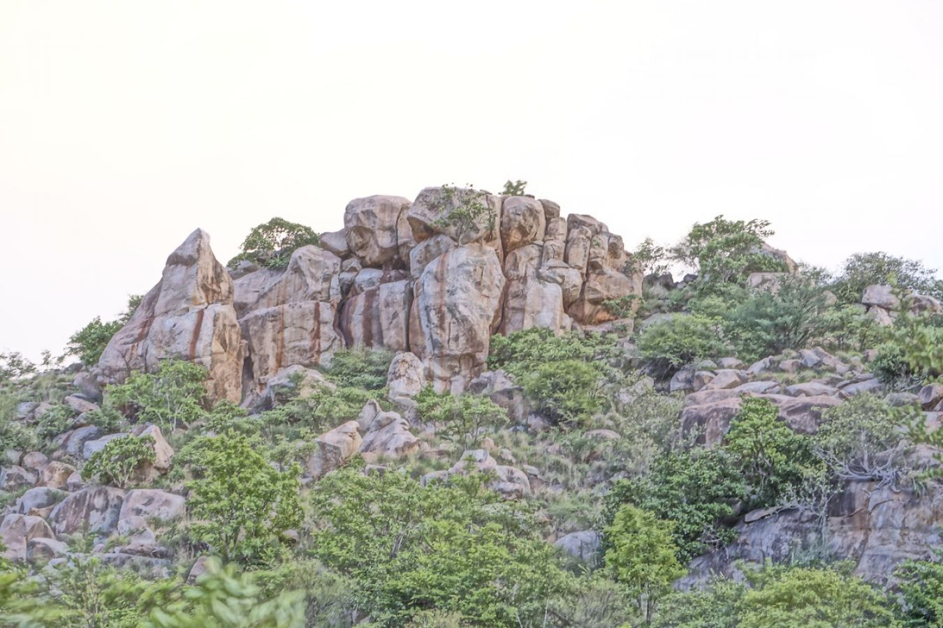 Daroji Sloth Bear Sanctuary Ballari