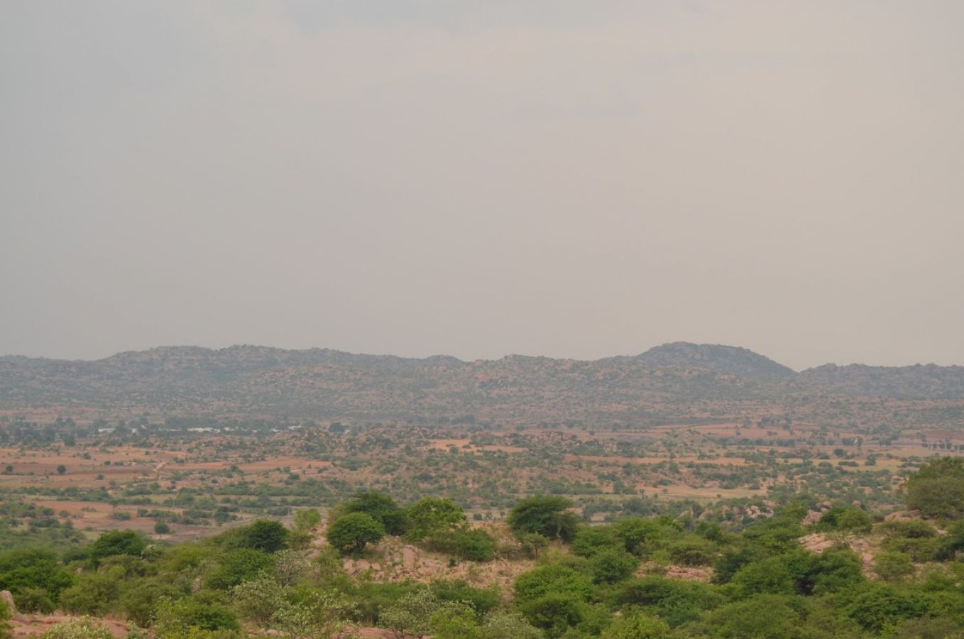 Daroji Sloth Bear Sanctuary Ballari