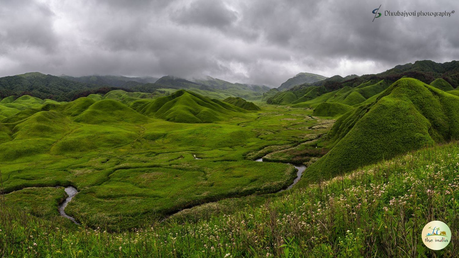 Dzukou Valley Kohima