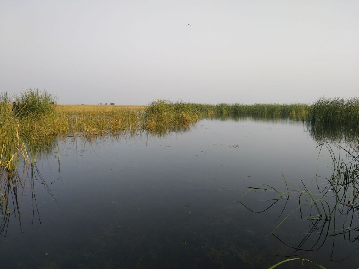 Nal Sarovar Ahmedabad