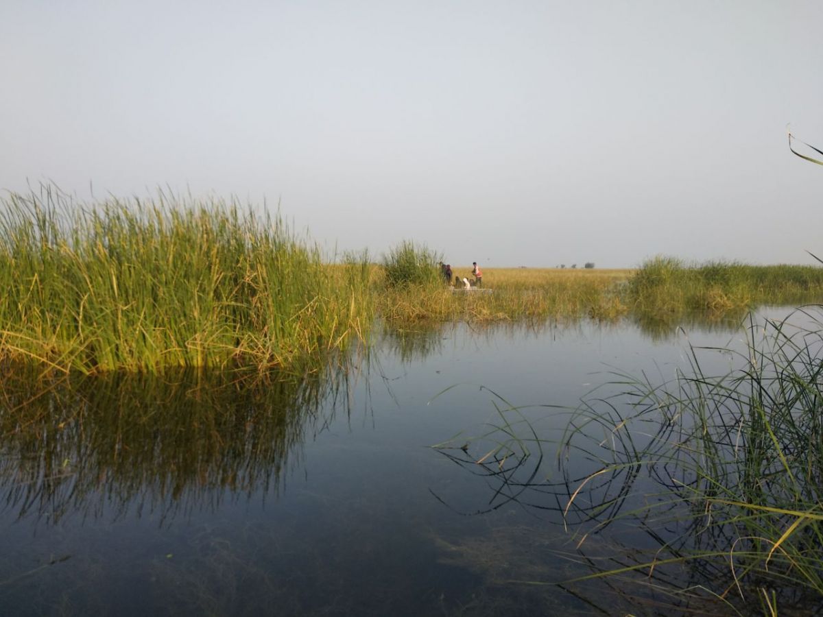 Nal Sarovar Ahmedabad