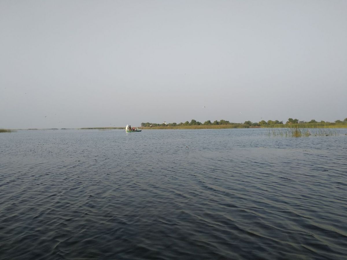 Nal Sarovar Ahmedabad