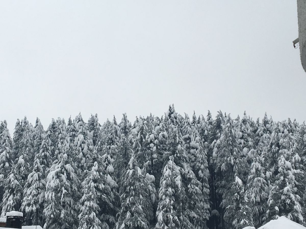 Manali kullu