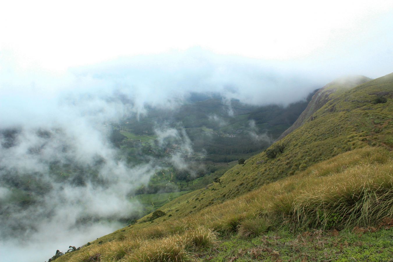 Meesapulimala Munnar