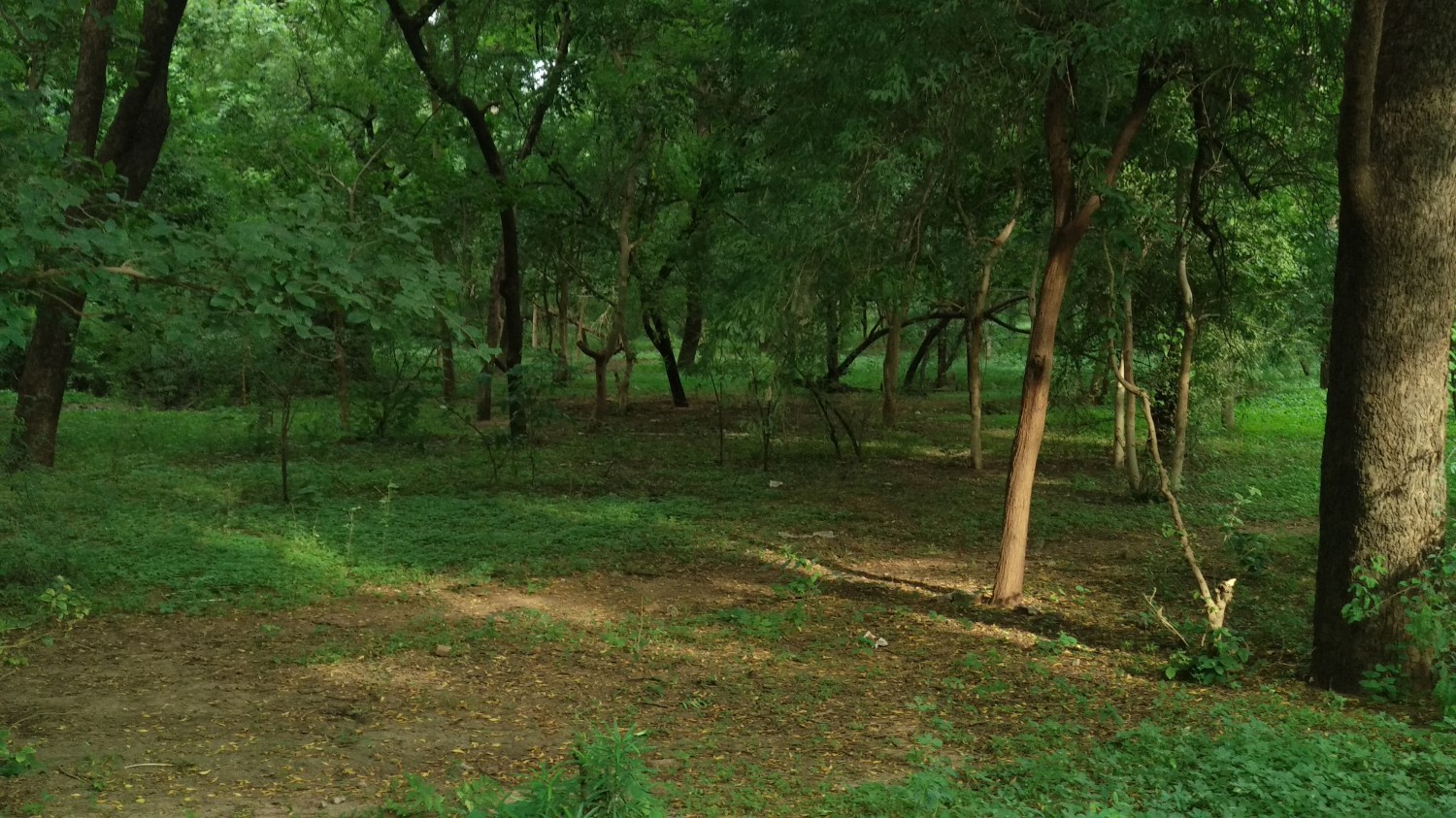 Indroda Nature Park Ahmedabad