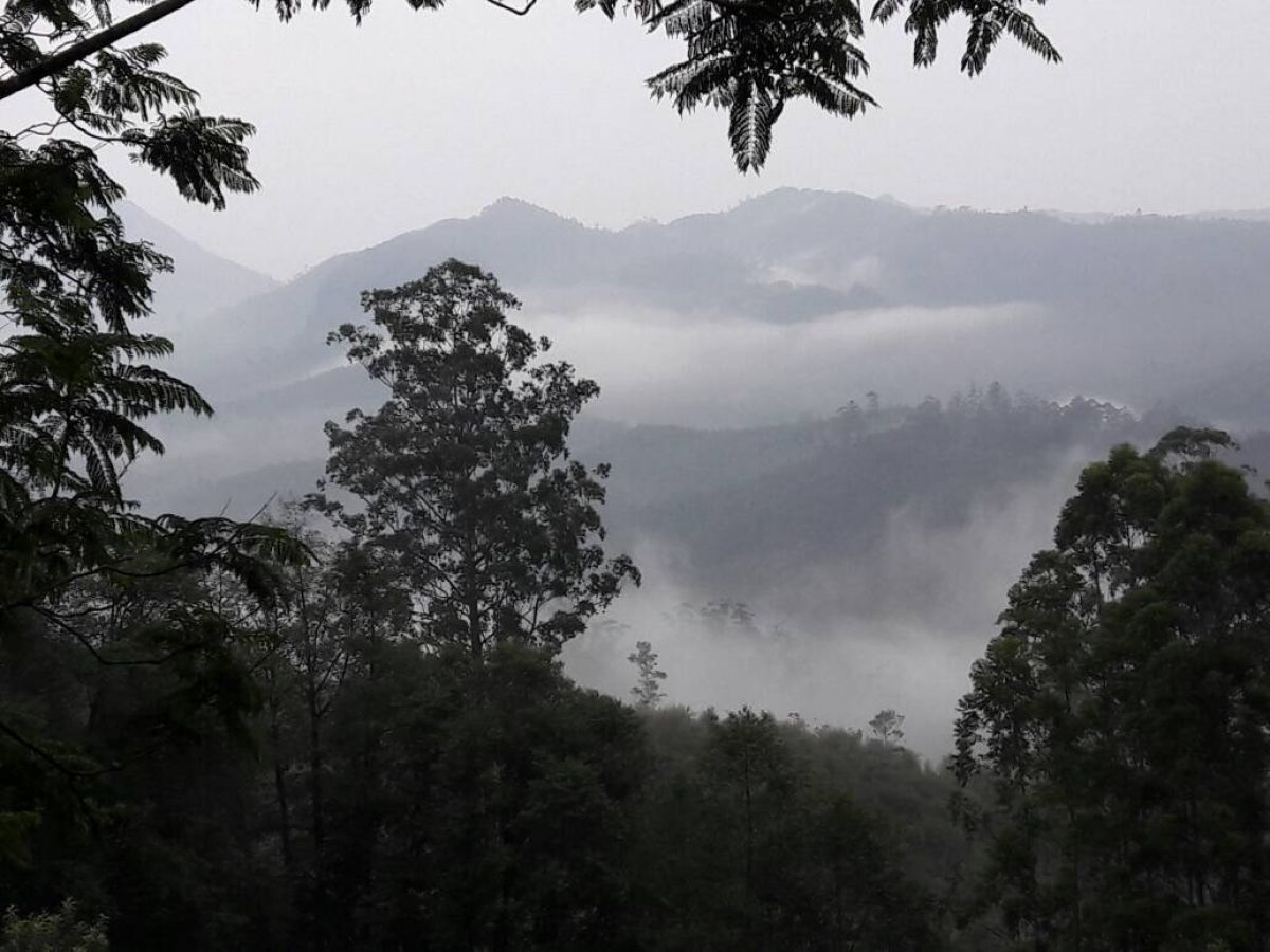 Munnar Hill Station Munnar