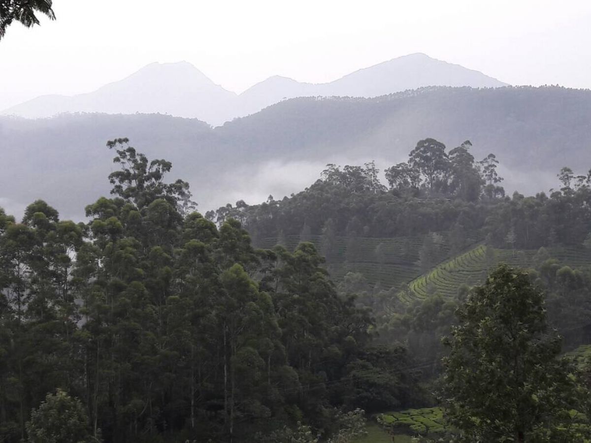 Munnar Hill Station Munnar