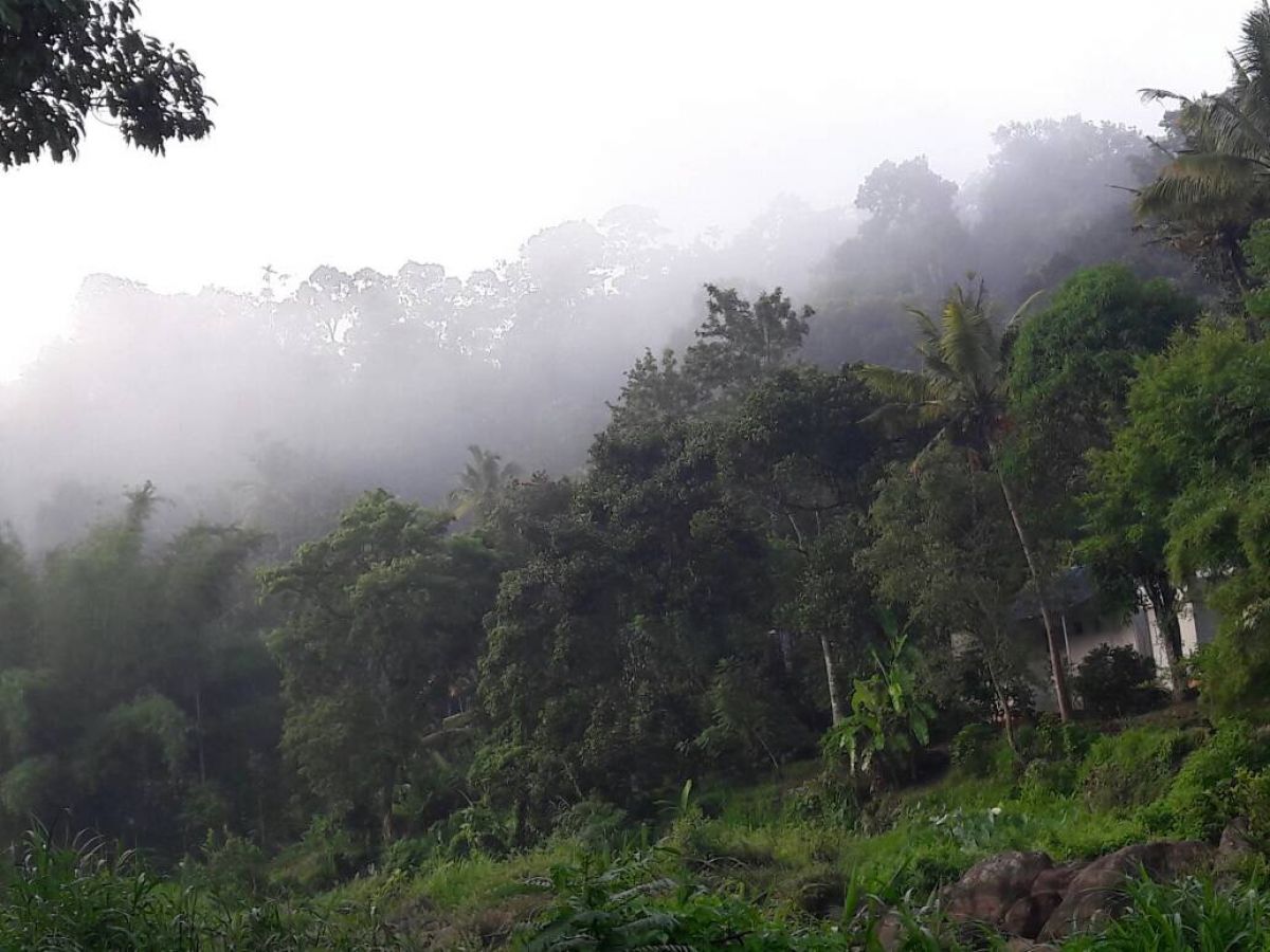 Munnar Hill Station Munnar