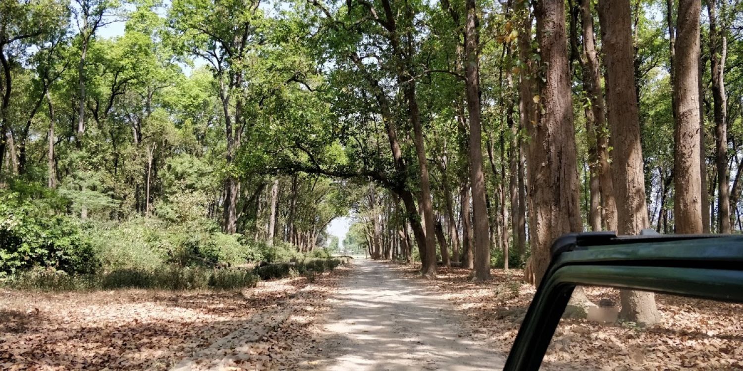 Jim Corbett National Park Nainital