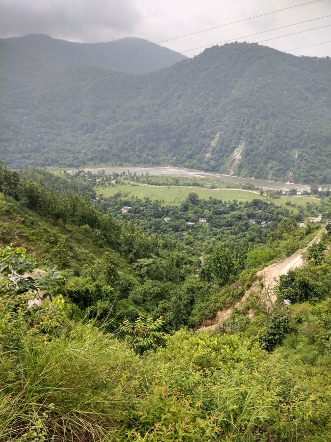 Jim Corbett National Park Nainital