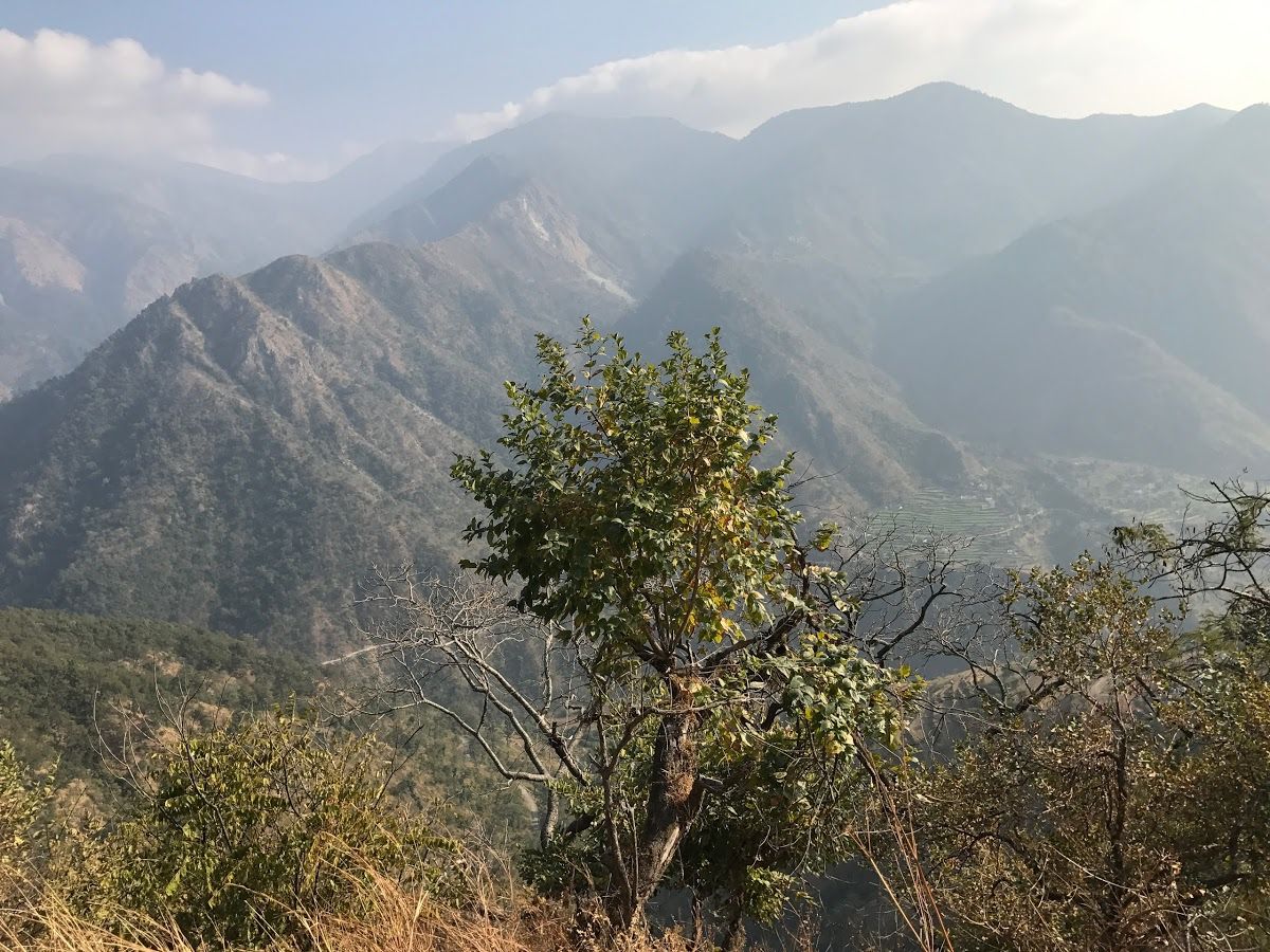 Jim Corbett National Park Nainital