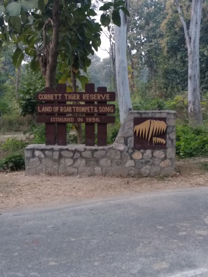 Jim Corbett National Park Nainital