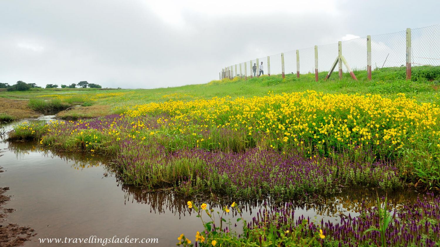 Kaas Plateau Satara