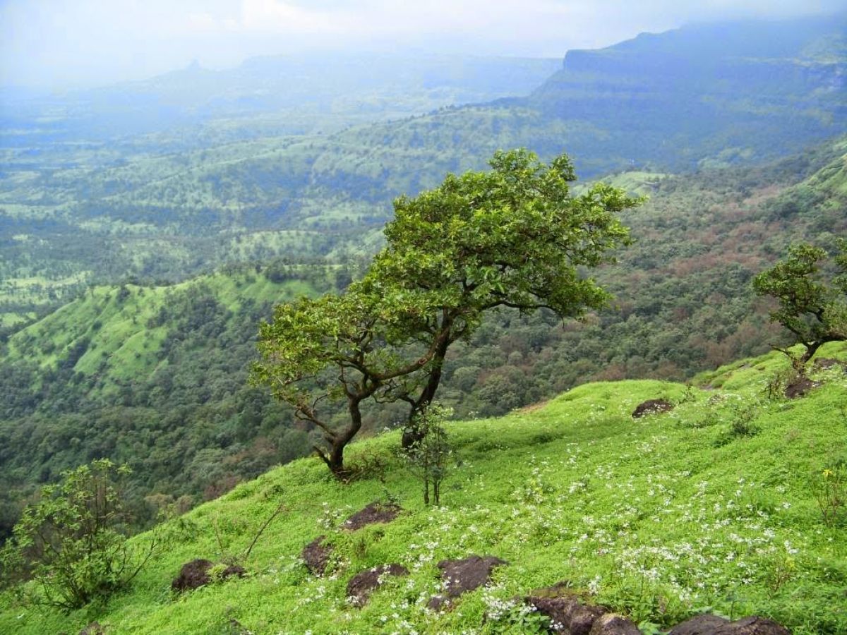 Kalsubai Peak Indore