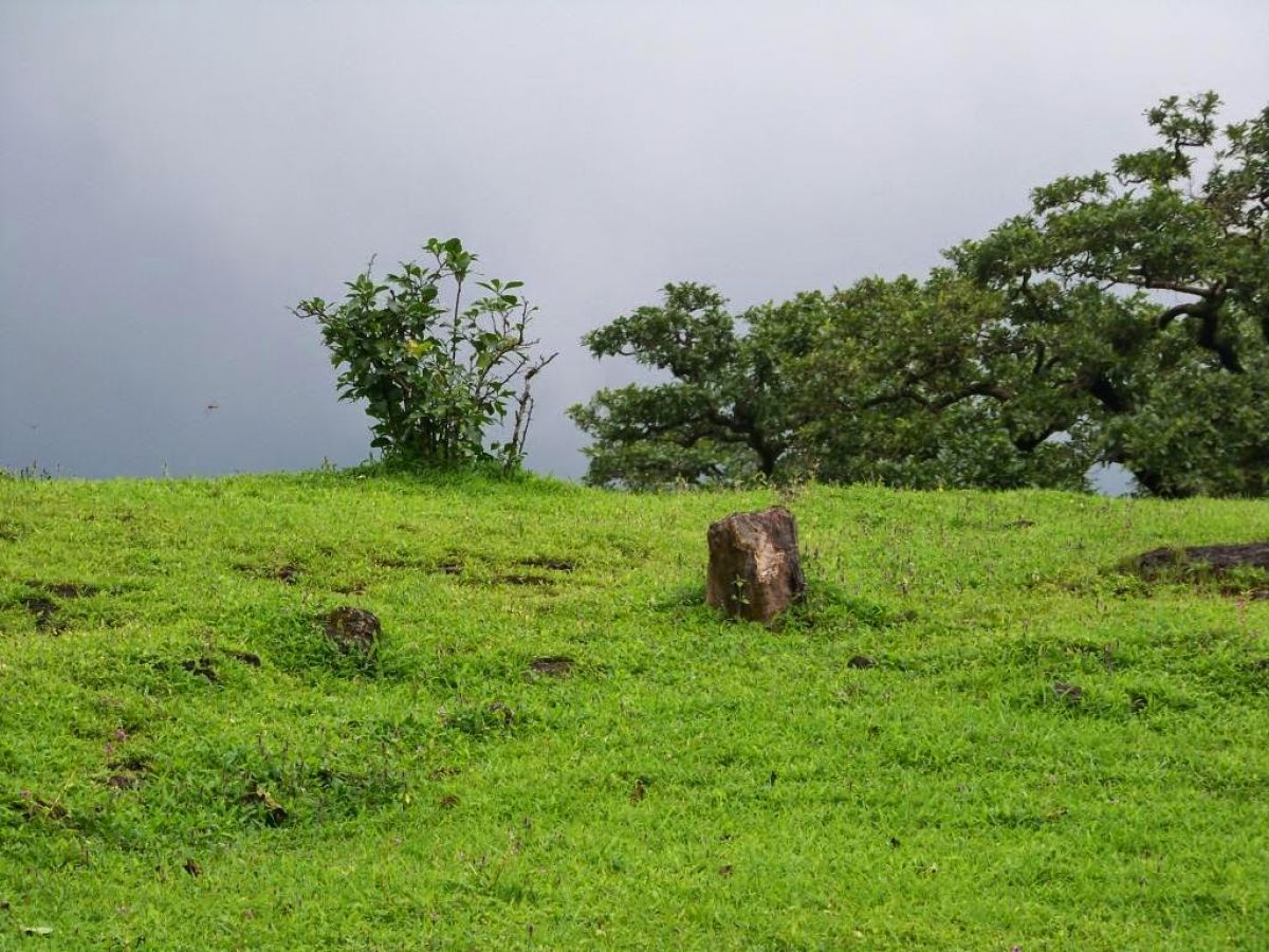 Kalsubai Peak Indore