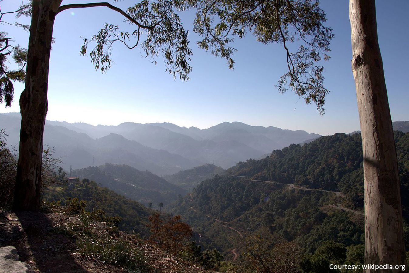 Kasauli Hills Kasauli