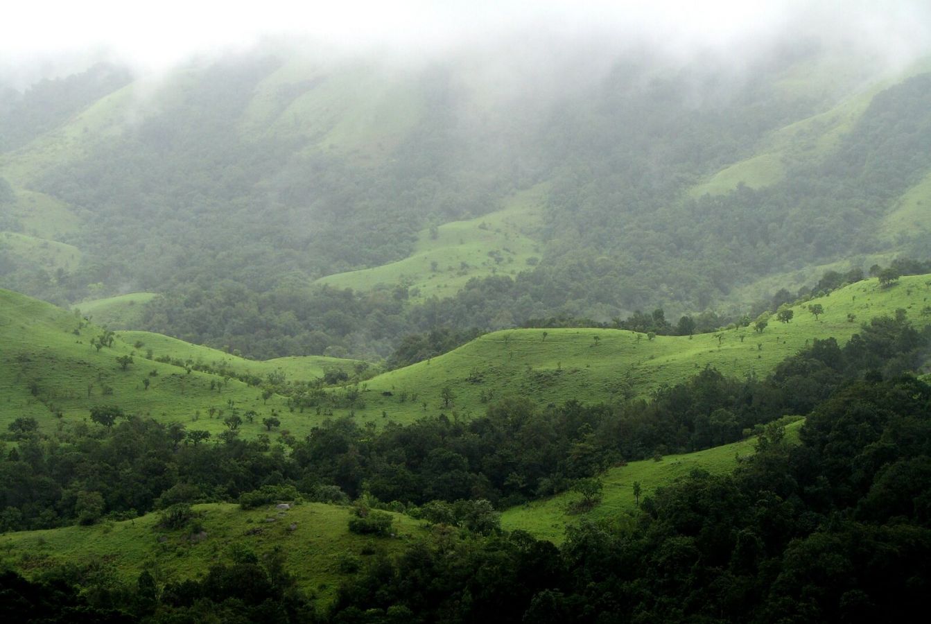 Kudremukh Kasala