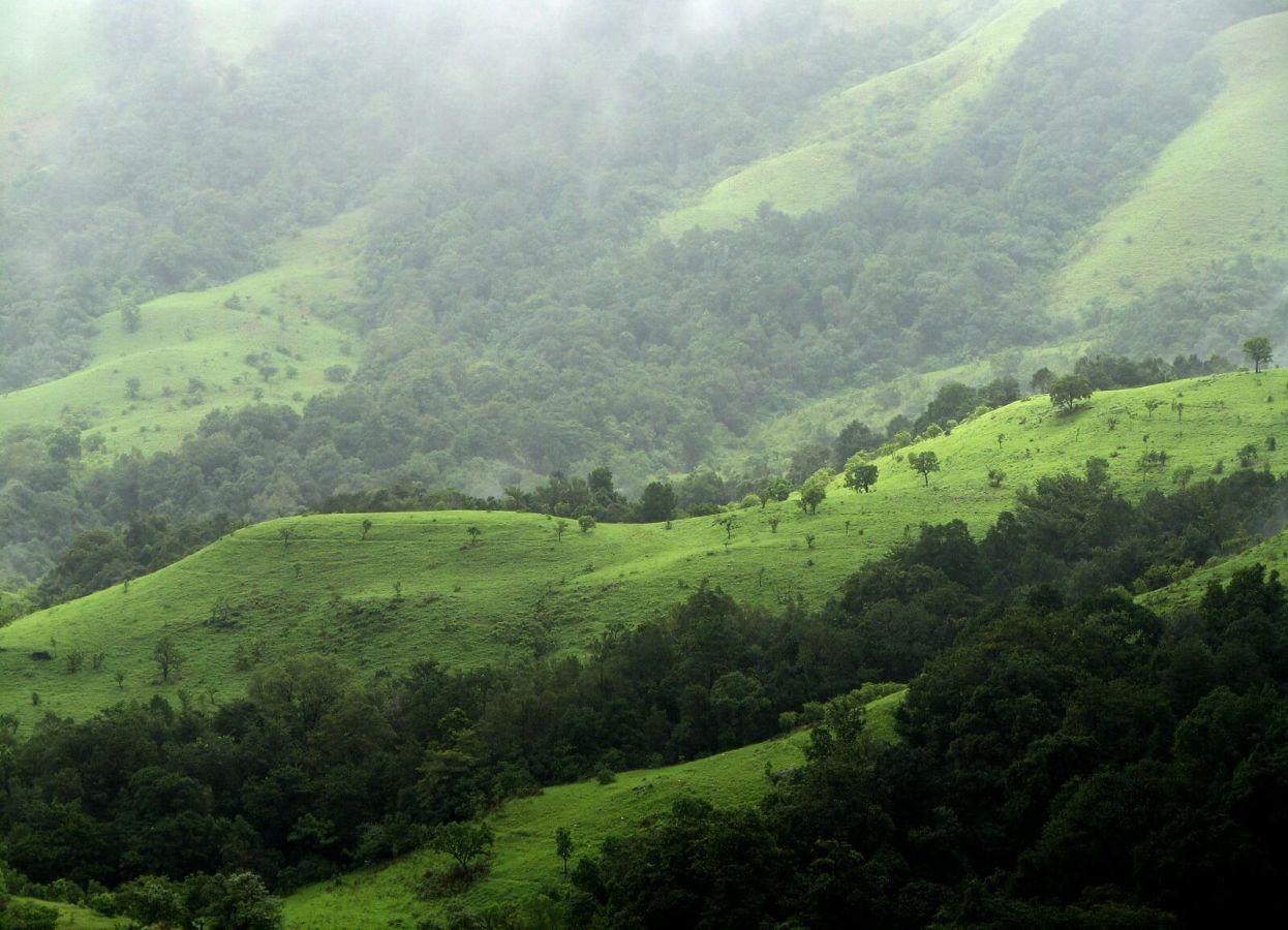 Kudremukh Kasala