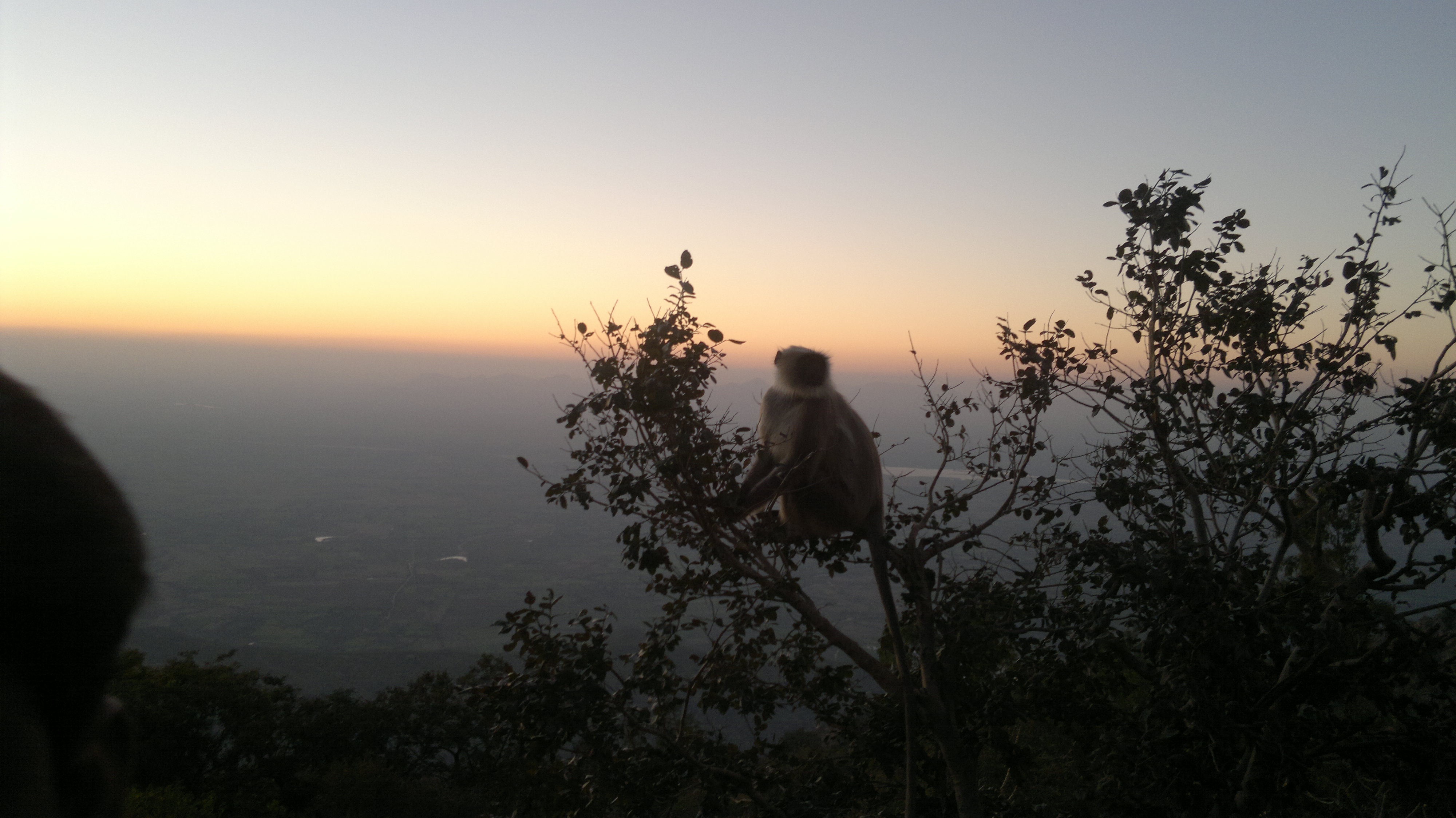 Mount Abu Mount Abu