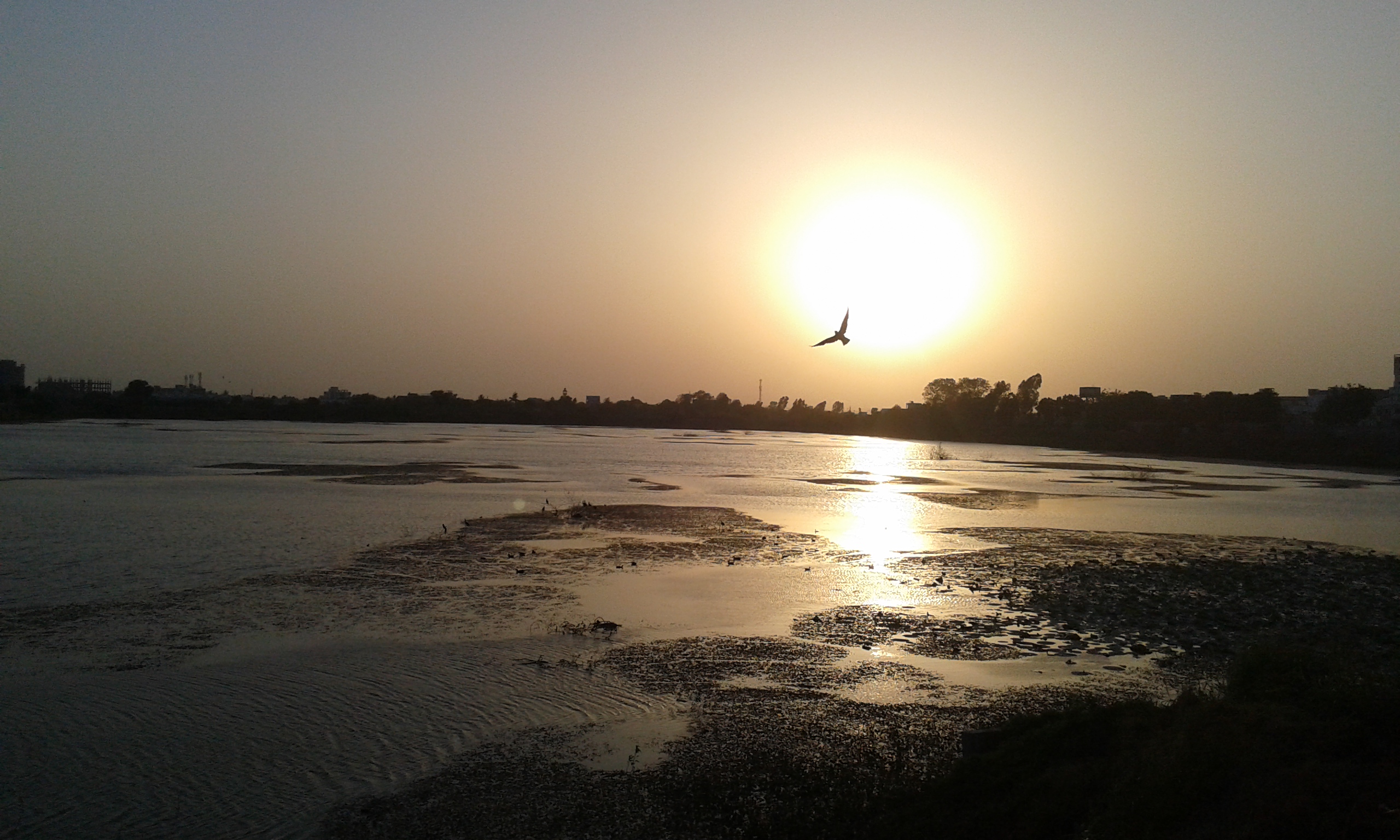 Matariya  Lake Bharuch