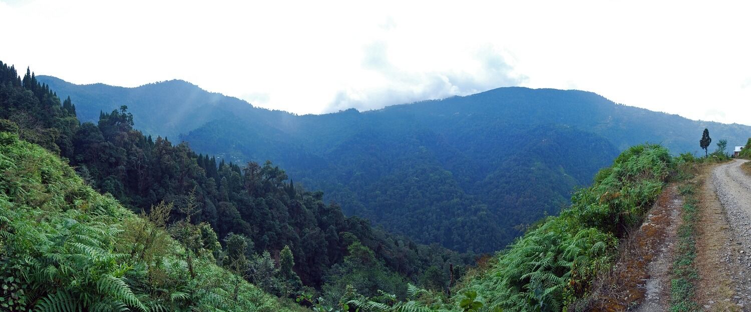 Neora Valley National Park Darjeeling