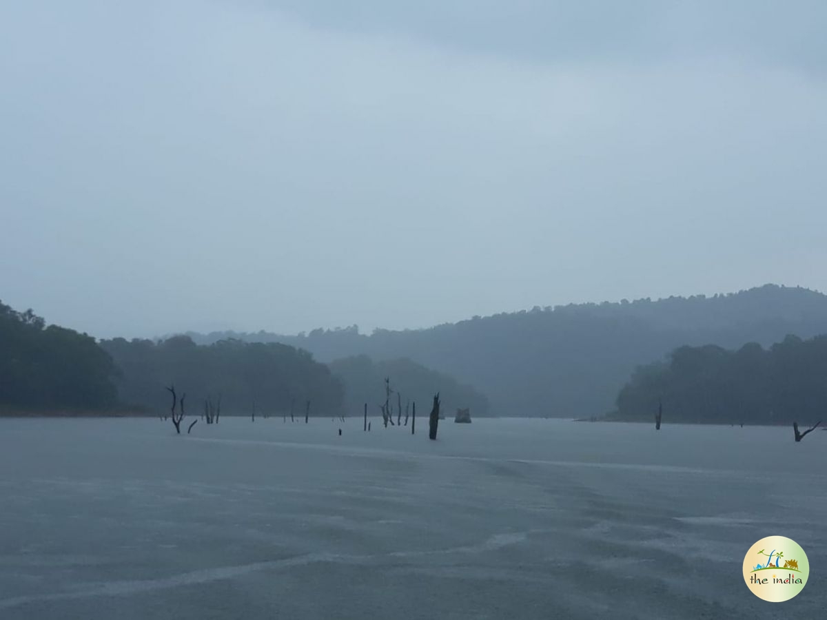 Periyar Lake Thekkady