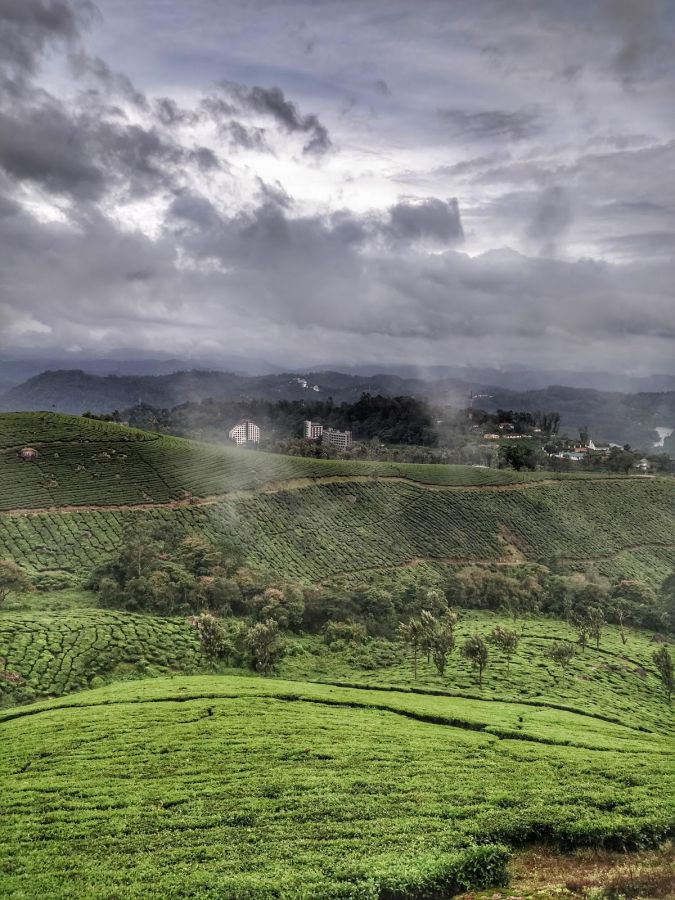 Pothamedu View Point Munnar