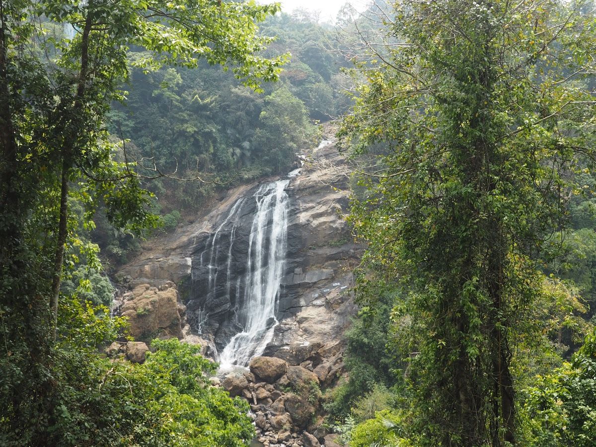 Pothamedu View Point Munnar