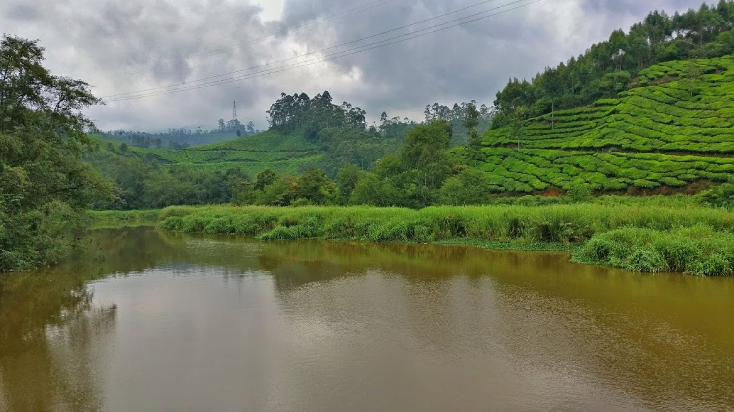 Pothamedu View Point Munnar