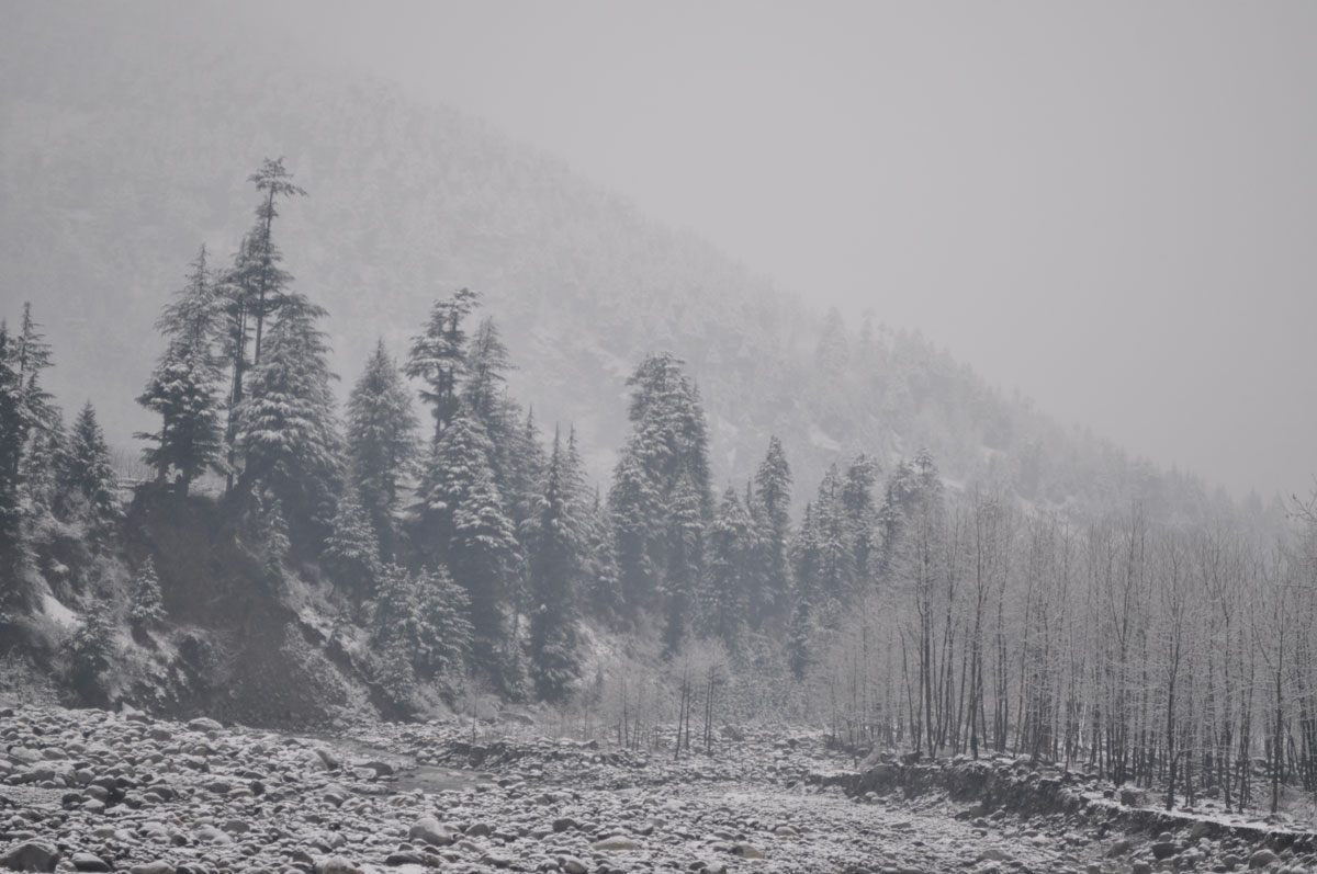 Manali kullu